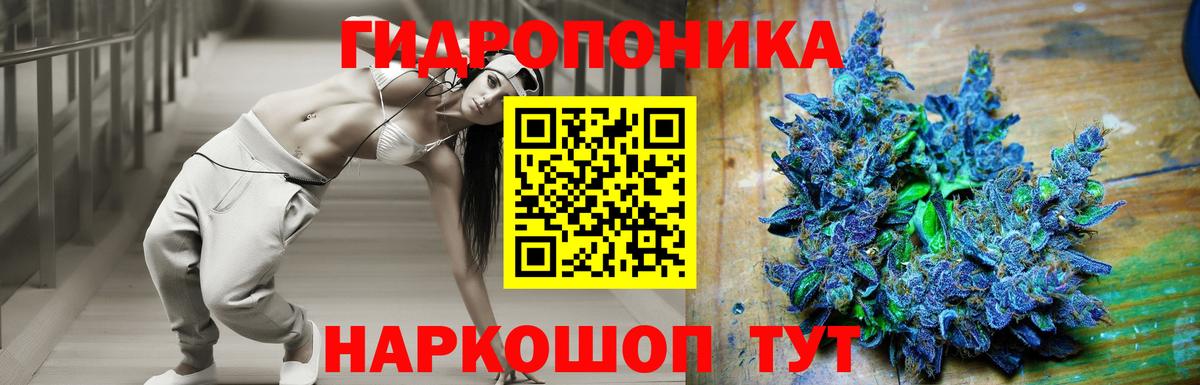 Конопля сатива Луховицы
